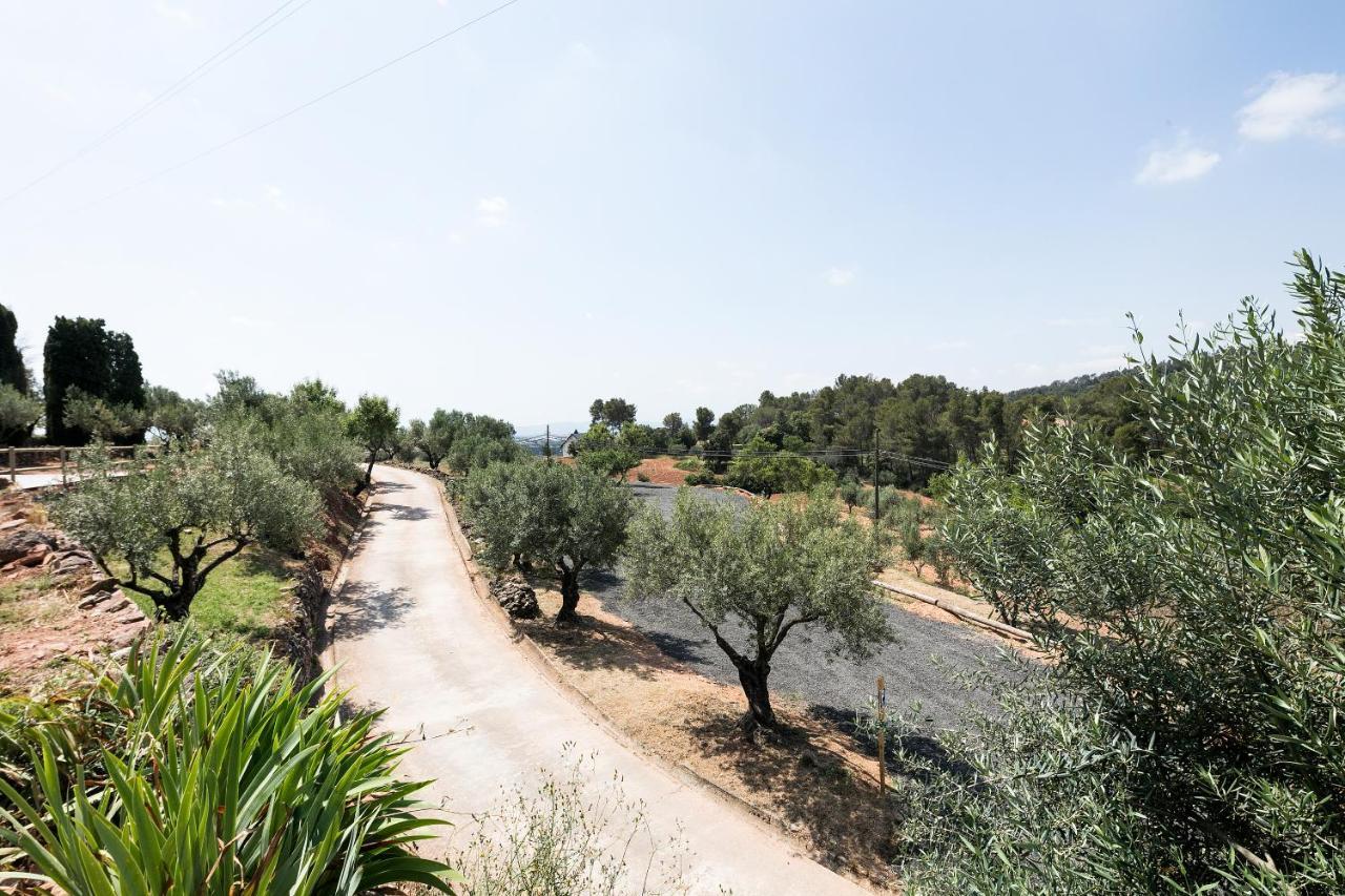 Can Borrell Castellar Del Valles Dış mekan fotoğraf